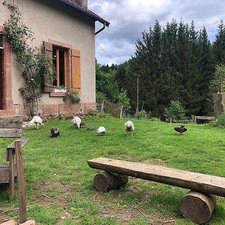 A l'orée de soi - Maison forestière de la Soie - Eco gîte, chambres d'hôtes, camping au pied des Vosges Saint-Sauveur (Meurthe-et-Moselle) Exterior foto
