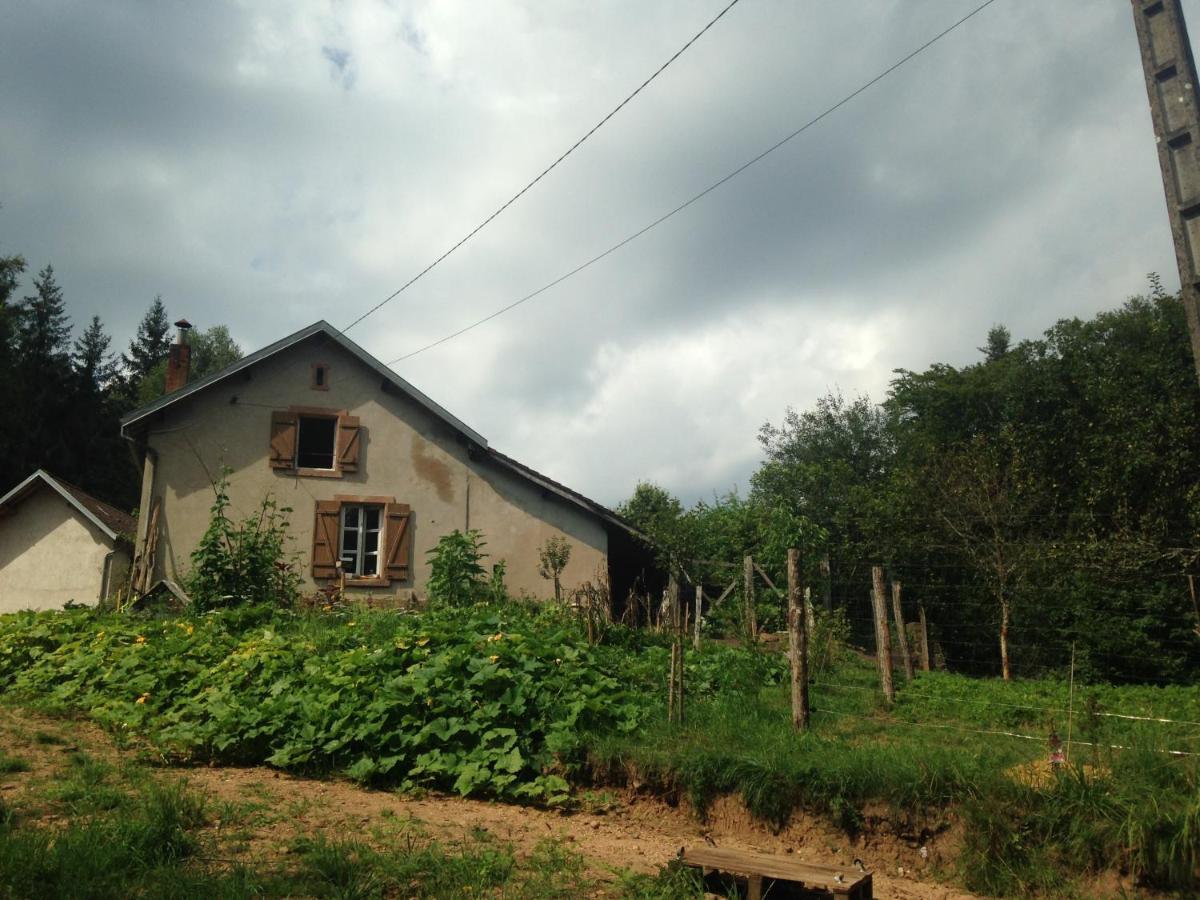 A l'orée de soi - Maison forestière de la Soie - Eco gîte, chambres d'hôtes, camping au pied des Vosges Saint-Sauveur (Meurthe-et-Moselle) Exterior foto