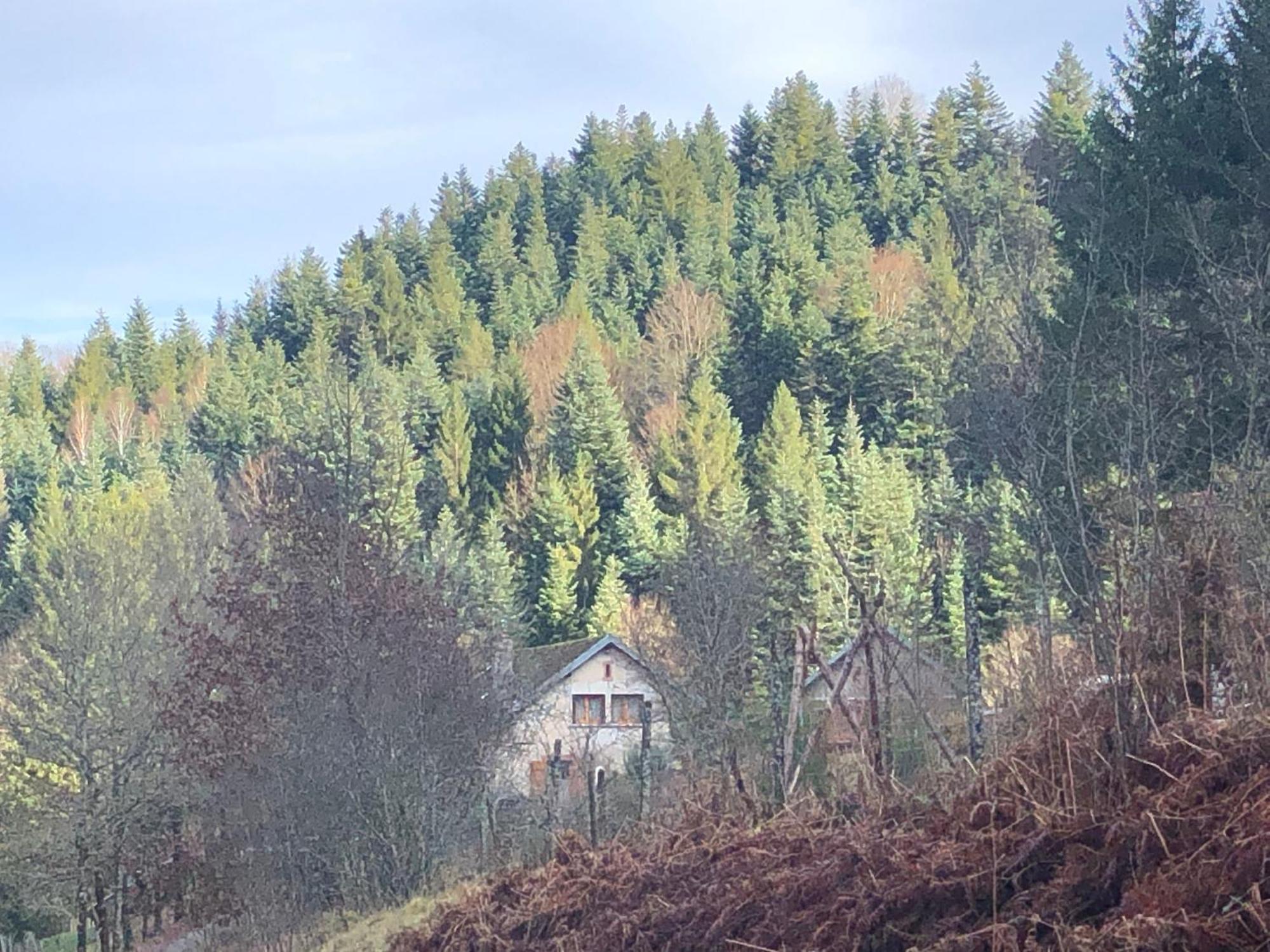 A l'orée de soi - Maison forestière de la Soie - Eco gîte, chambres d'hôtes, camping au pied des Vosges Saint-Sauveur (Meurthe-et-Moselle) Exterior foto