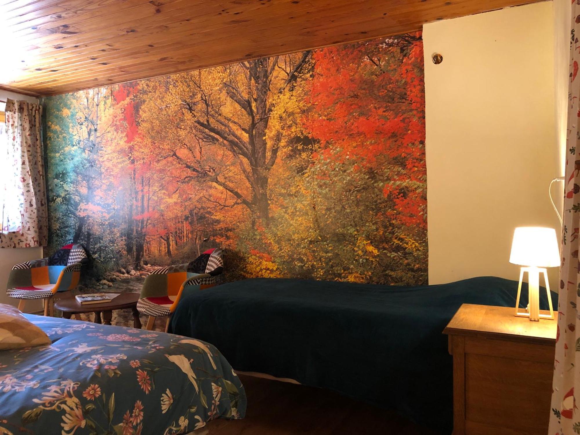A l'orée de soi - Maison forestière de la Soie - Eco gîte, chambres d'hôtes, camping au pied des Vosges Saint-Sauveur (Meurthe-et-Moselle) Exterior foto