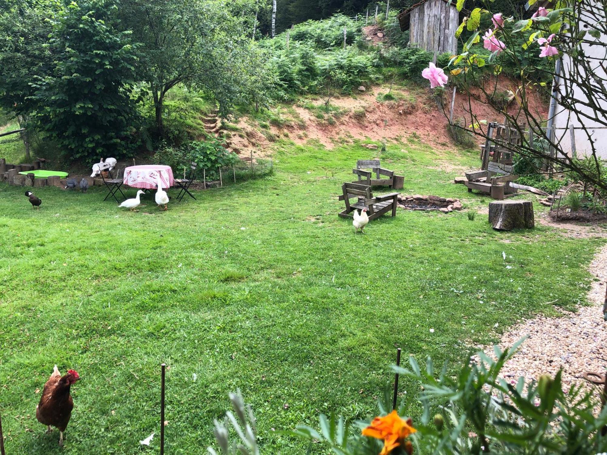 A l'orée de soi - Maison forestière de la Soie - Eco gîte, chambres d'hôtes, camping au pied des Vosges Saint-Sauveur (Meurthe-et-Moselle) Exterior foto